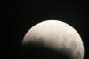 img_8438_t1.jpg